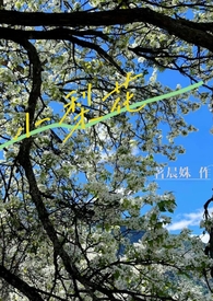 小李和芯语后续